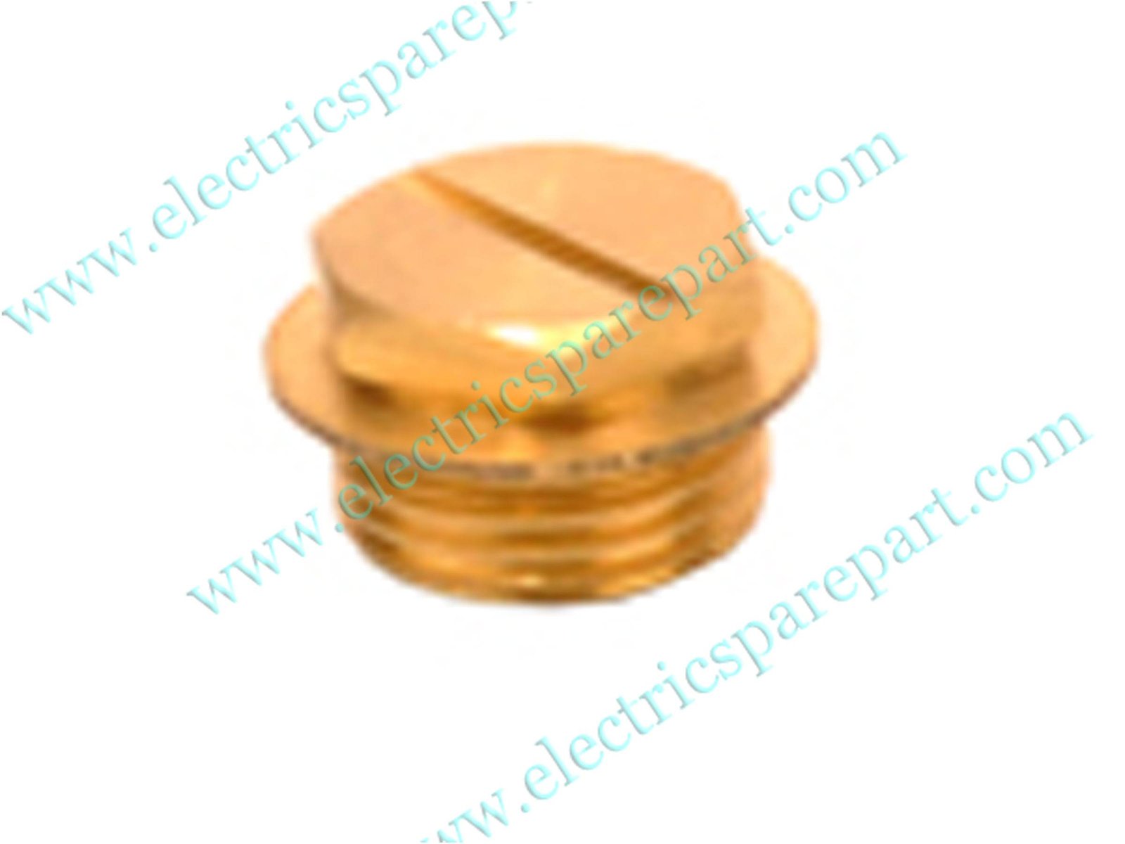 Brass Valves — BRASS DRAIN PLUG catalogue photograph